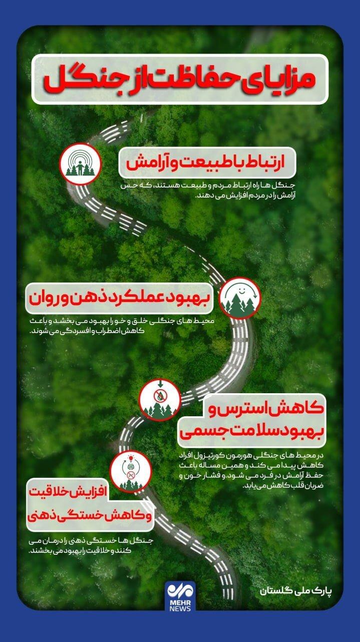 جنگل‌ها، پیوند انسان با طبیعت و آرامش
