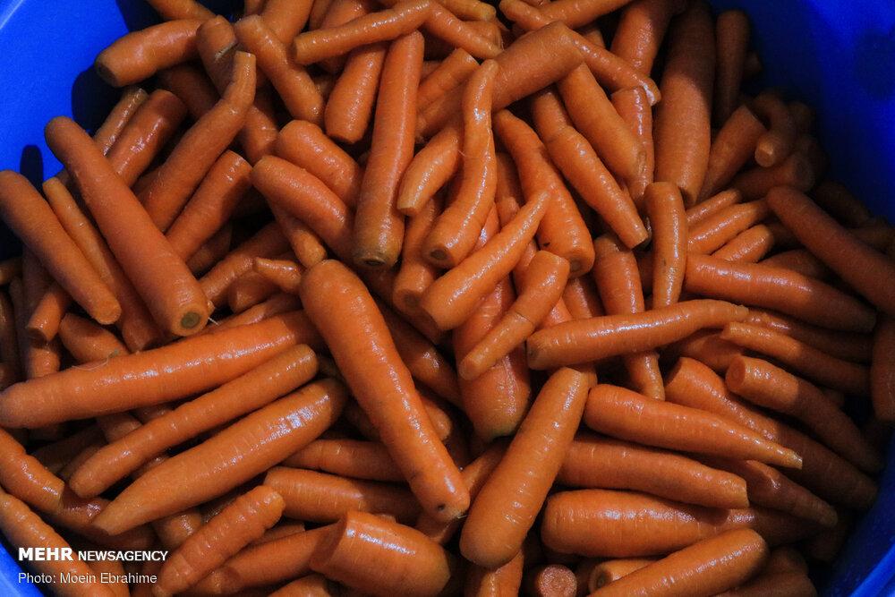 روایت شیرینِ زمینهای سخت!