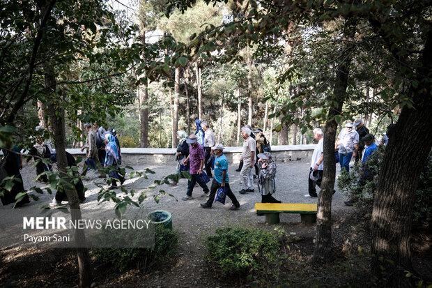 «گامیران» طرحی برای سلامت مردم ایران/پیادهروی که برای شما پول میآورد