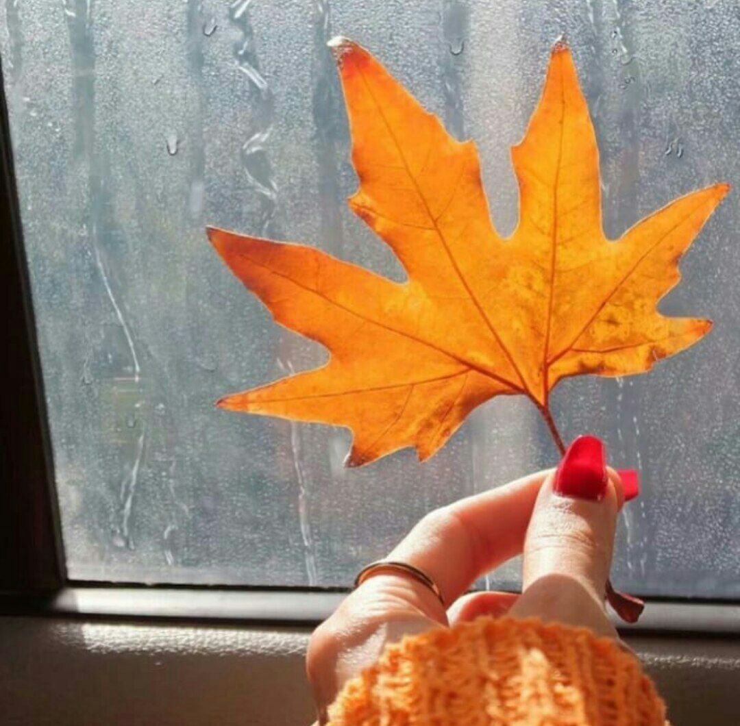 عکس نمایه