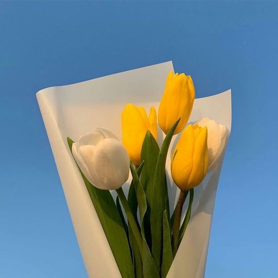عکس نمایه