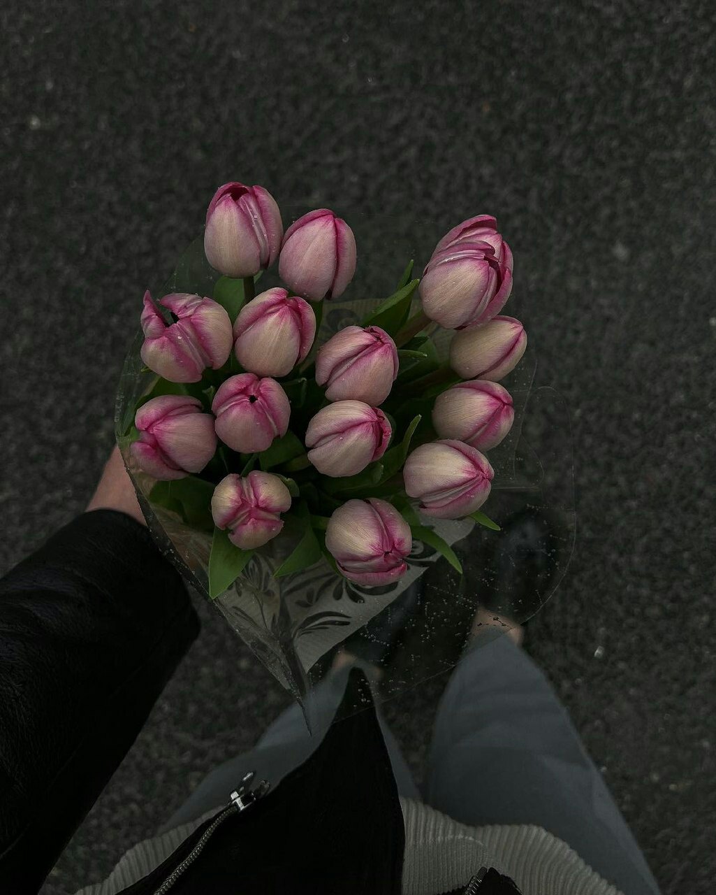 عکس نمایه