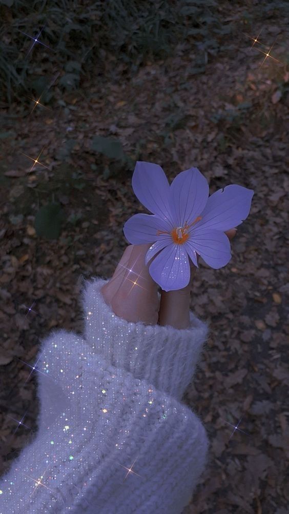 عکس نمایه