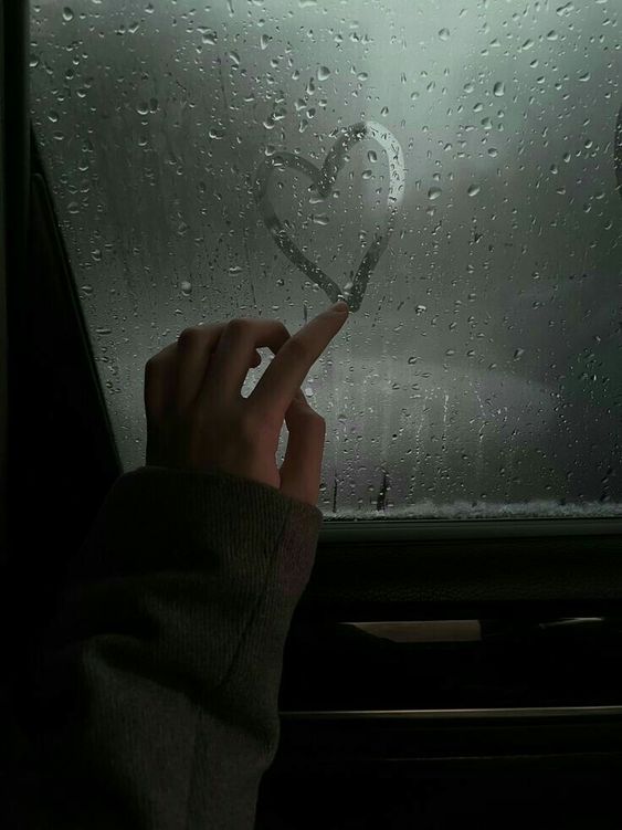 عکس نمایه