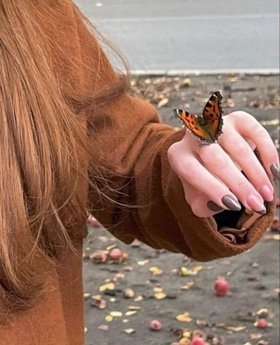 عکس نمایه