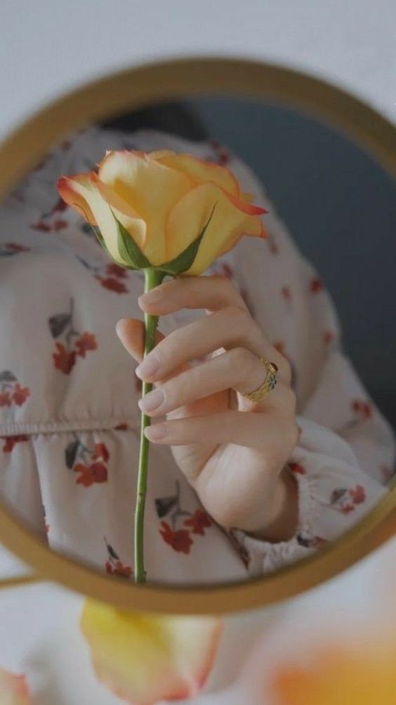 عکس نمایه