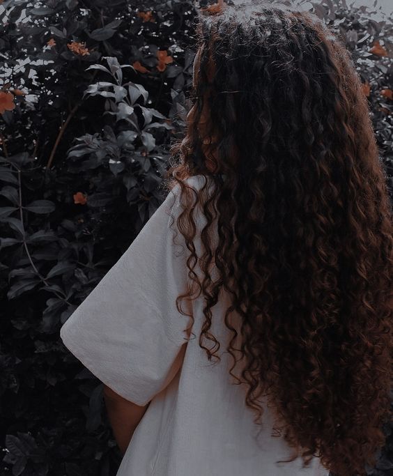 عکس نمایه