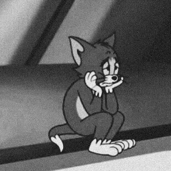 عکس نمایه