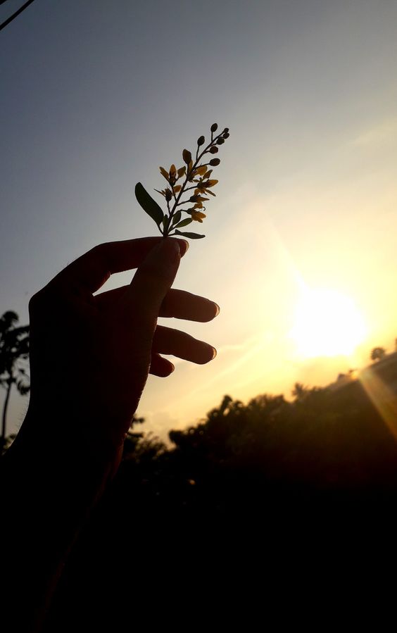عکس نمایه