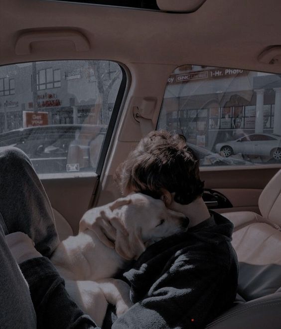 عکس نمایه
