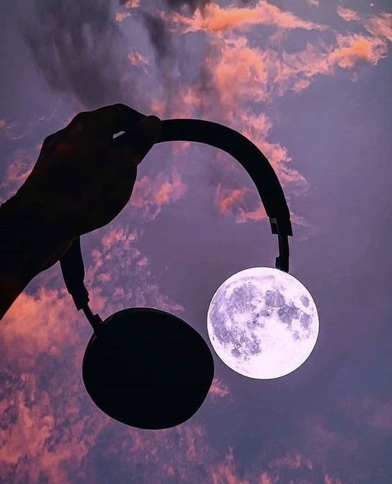 پروفایل