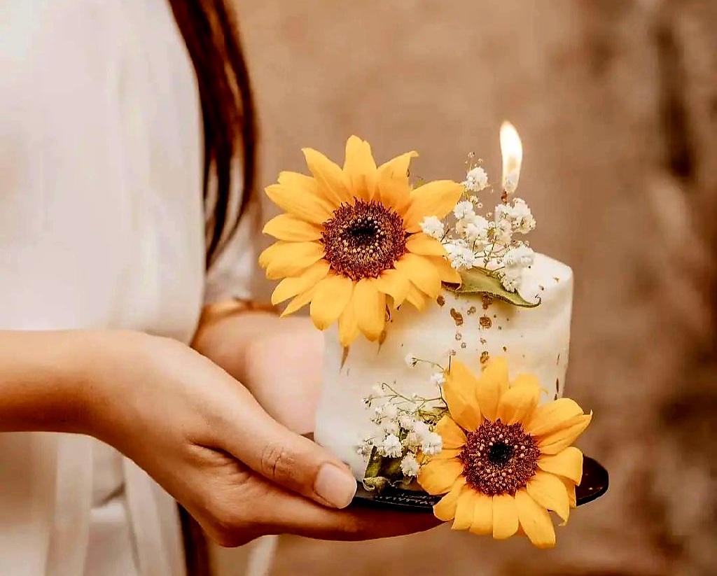 عکس نمایه