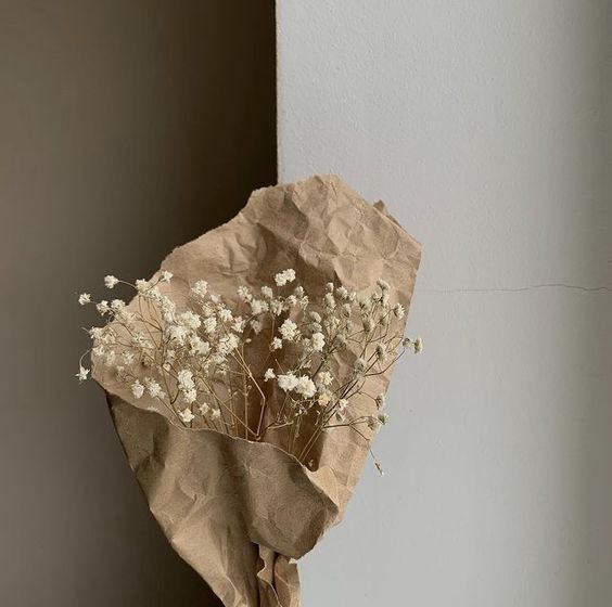 عکس نمایه