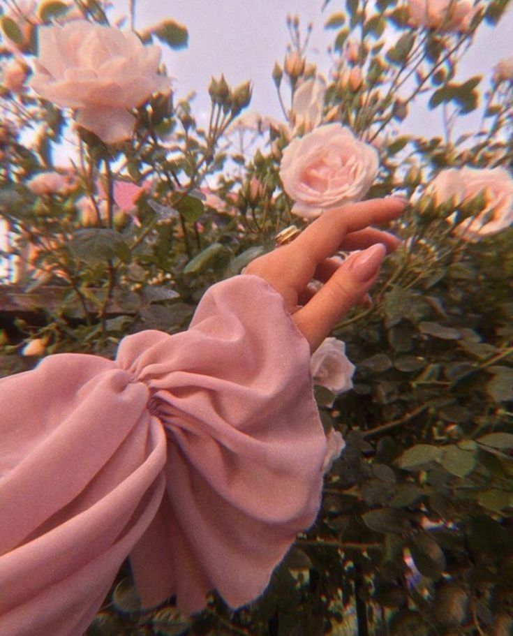 عکس نمایه