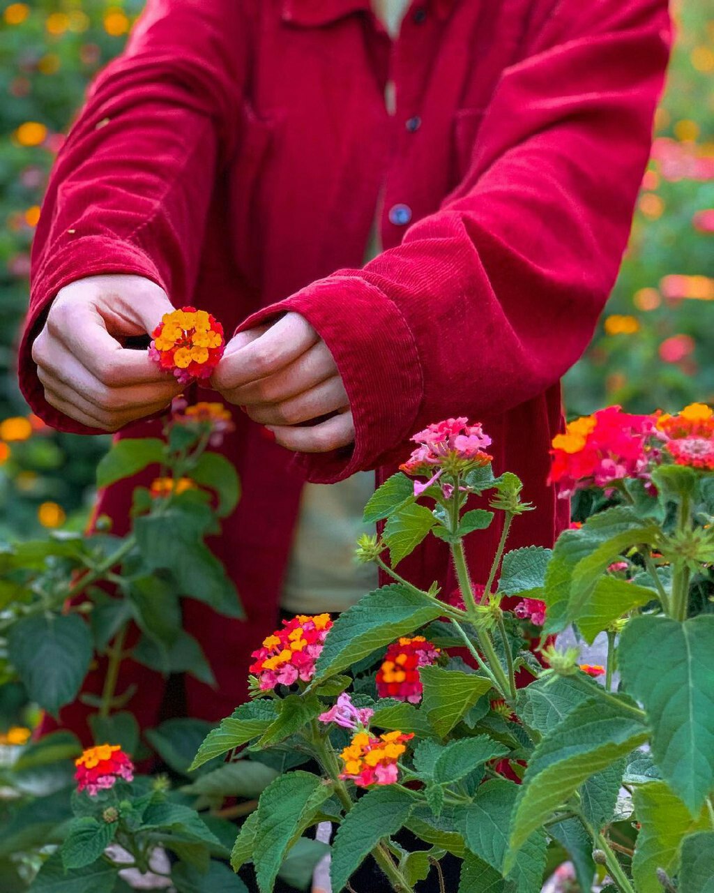 عکس نمایه