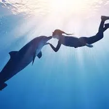  تفریحات دریایی