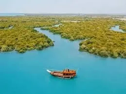 تفریحات آبی پدل‌برد و کایاک در تور جنگل حرا قشم