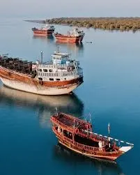 جزیره قشم: