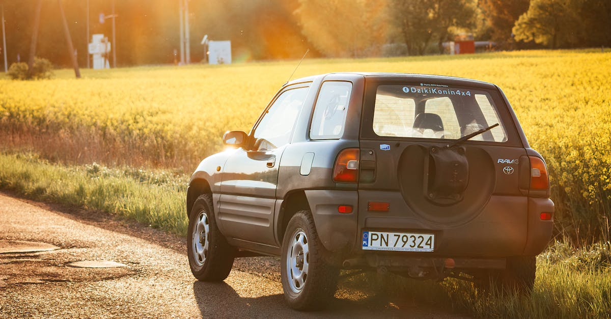 نقره‌ای Toyota RAV4
