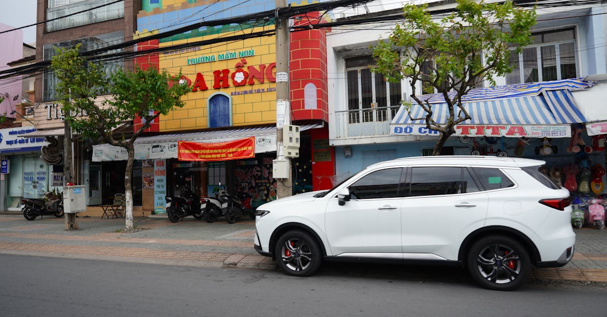 سفید BYD Atto 3