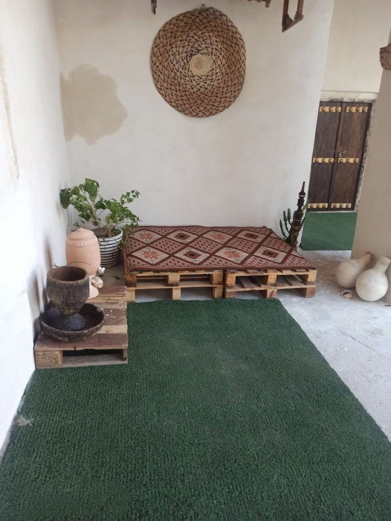 گیاه و فضای سبز کنار دیوار سفید در بوم‌گردی چیرا قشم
