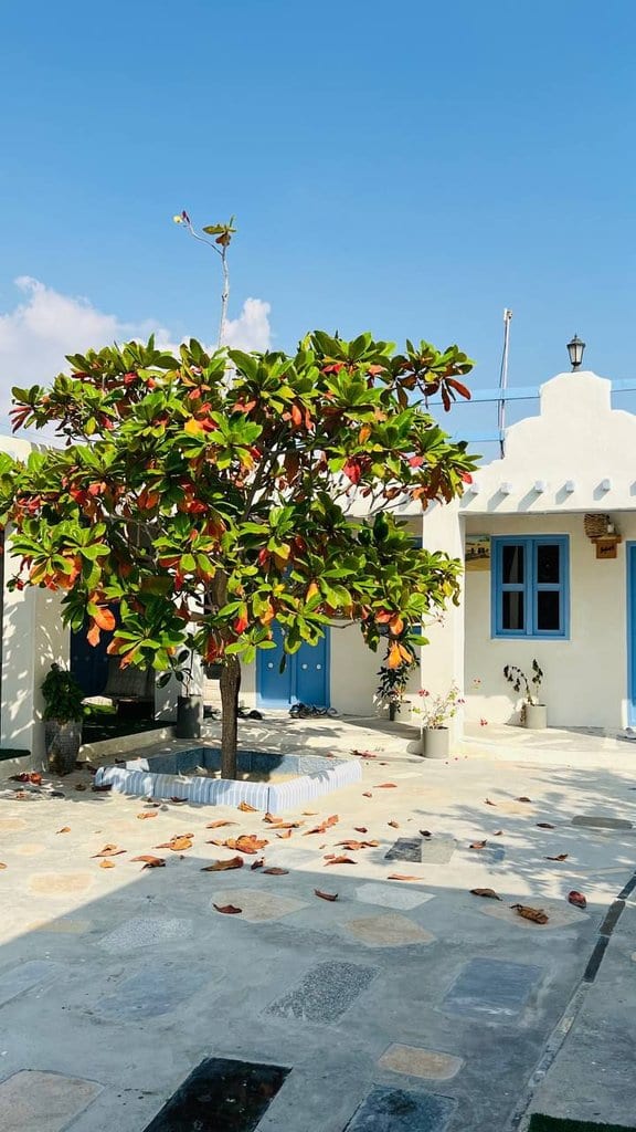 نمای نزدیک واحدها با درها و پنجره‌های آبی و حصیر دیواری در بوم‌گردی گل ابریشم قشم