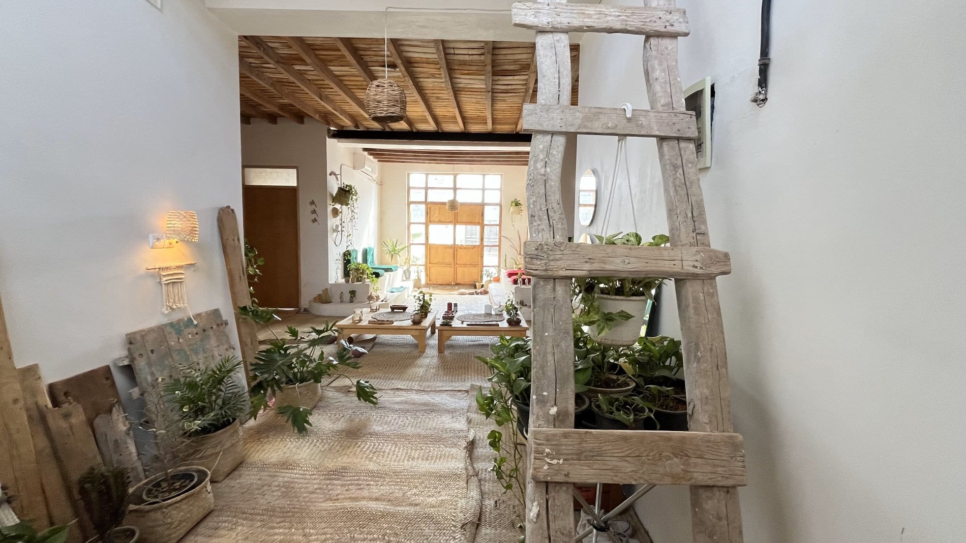 گوشهٔ آرامِ نشیمن با گیاهان و نورِ طبیعی در بوم‌گردی خانه کوچ هرمز