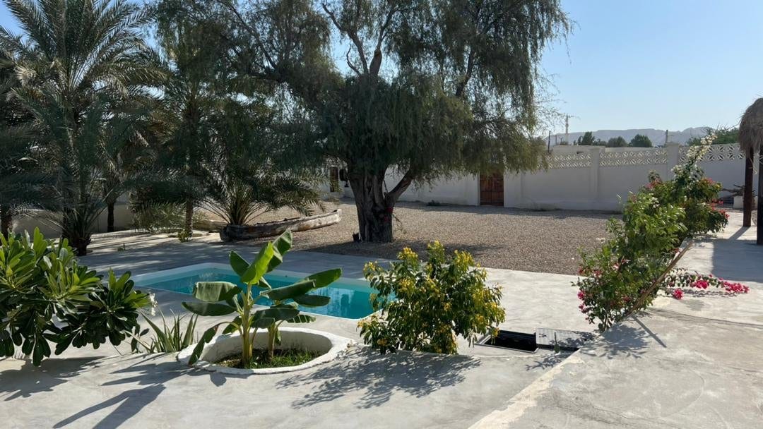 حیاط سرسبز با نخل‌ها و استخر در بوم‌گردی چهارخوابه قشم