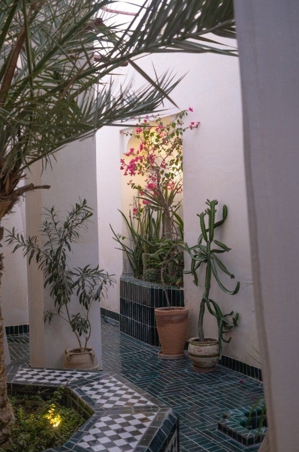 گوشهٔ حیاط خانه مرجان در غروب با گل کاغذی، کاکتوس و کاشی سبز