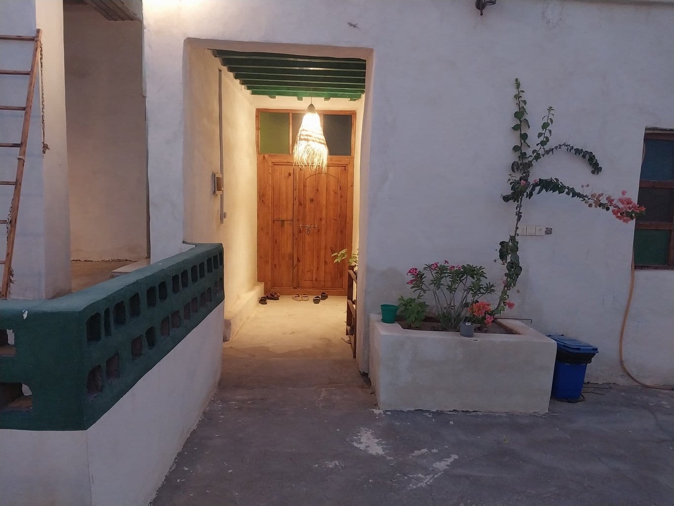 راهرو و گذرگاهِ قوسیِ گچی با گیاهان در بوم‌گردی کاژه هرمز