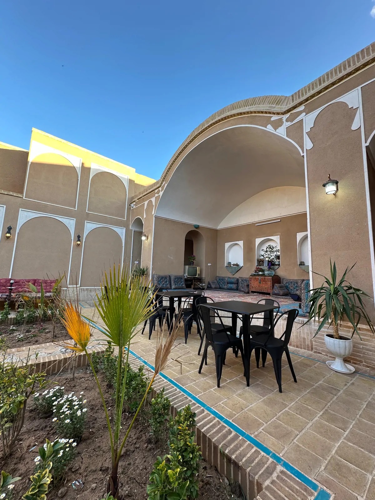 نیلوفرآبی (اتاق 3)