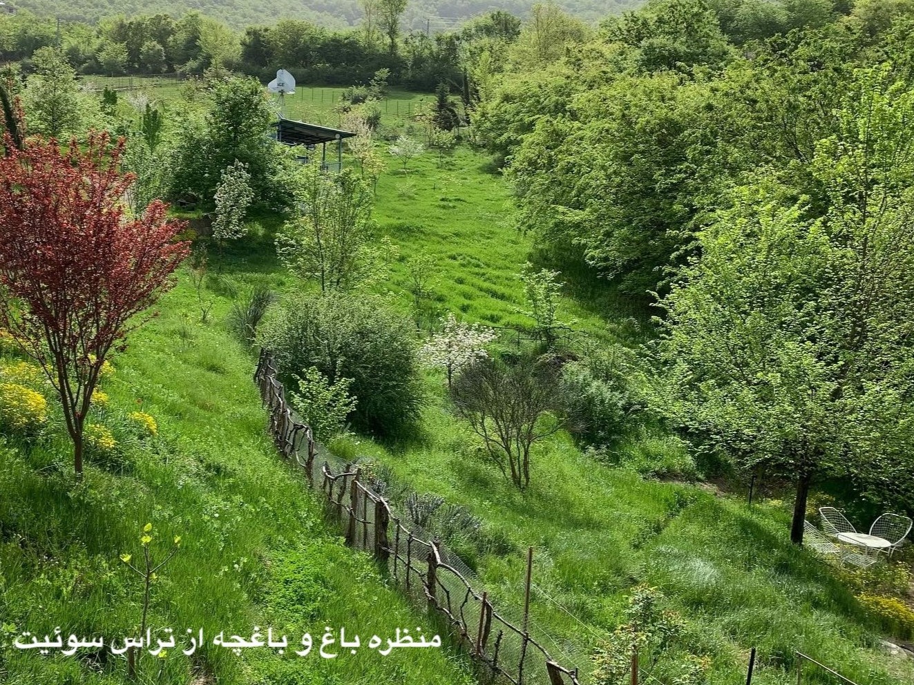 سوئیت کوهستانی در "مرزن آباد"