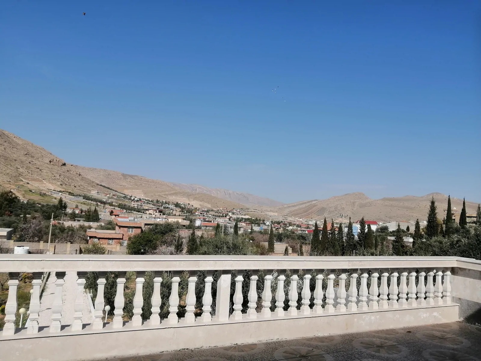 مروارید (3)
