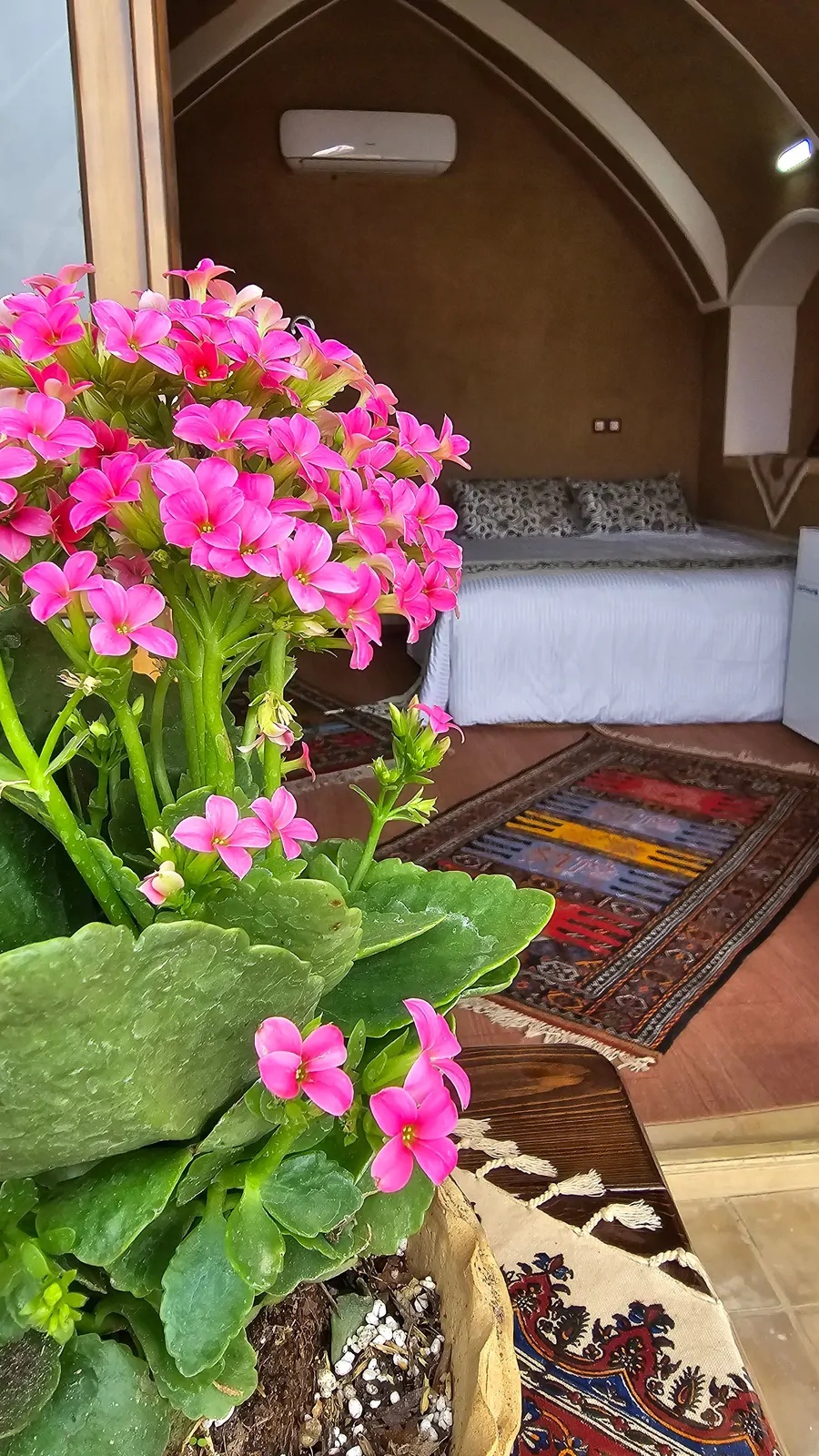 بوم گردی عمارت مهربانو - واحد مهر بانو