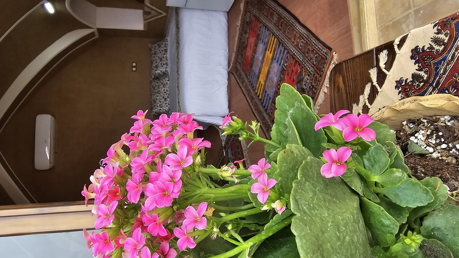 اجاره بوم گردی عمارت مهربانو - واحد نیک بانو عقدا