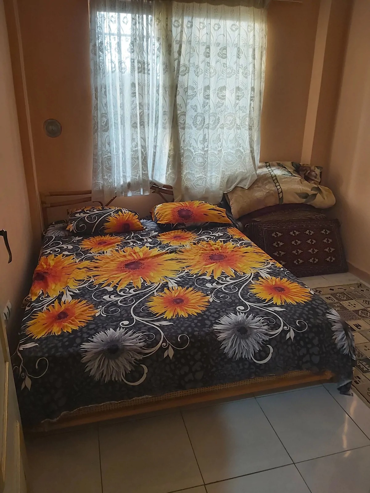 ویلایی صادقی