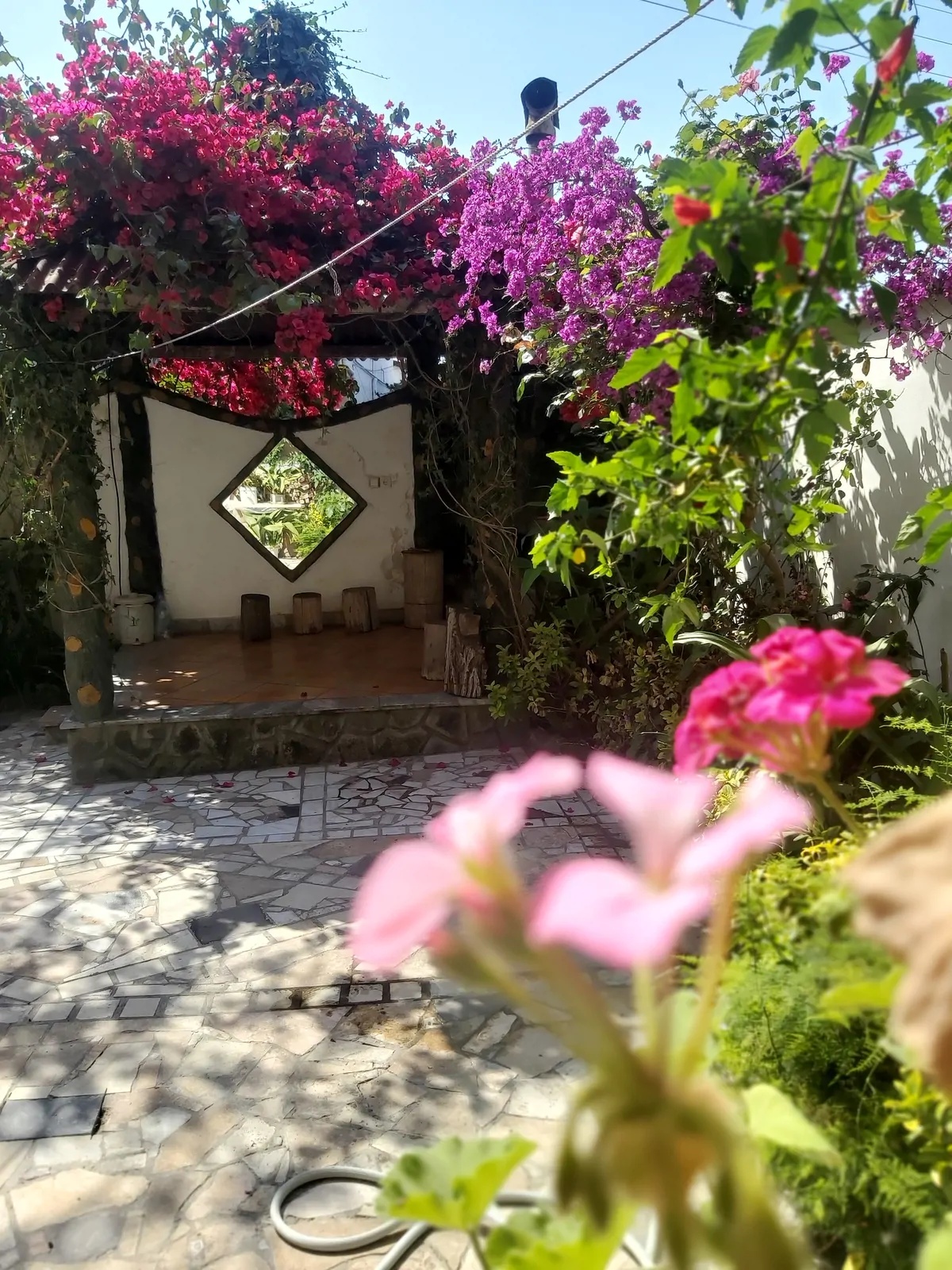 ویلایی صادقی