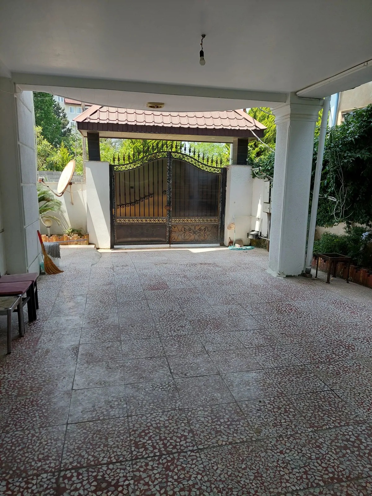 ساحلی آرتمیس