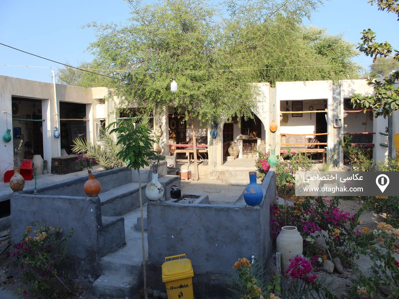 ناخدا علی (اتاق جنگل حرا)