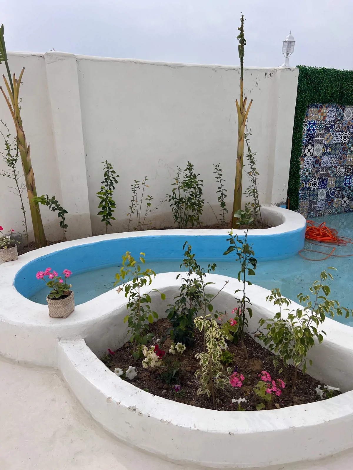 سمیره (۴) با صبحانه رایگان