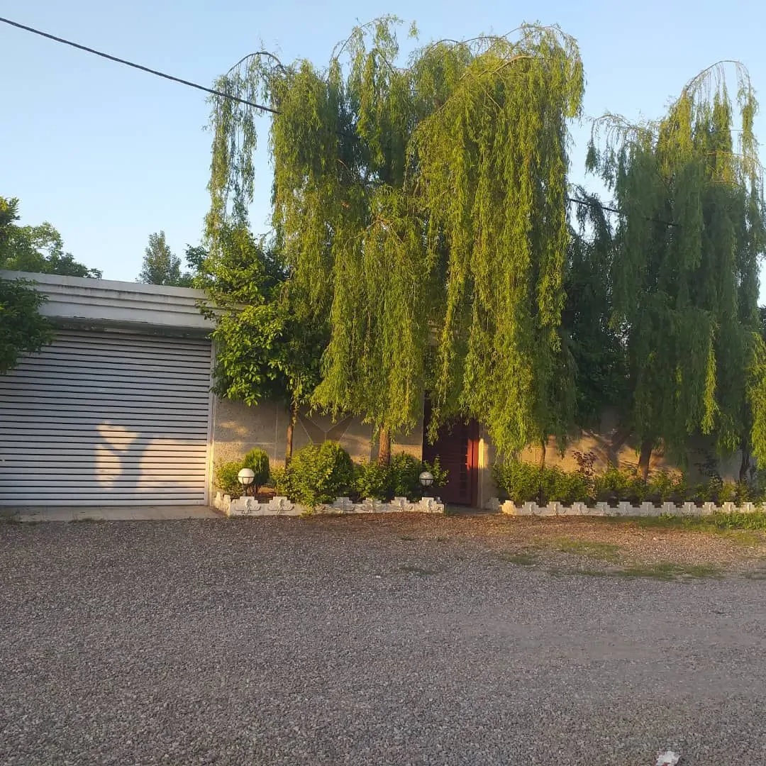عسل (2)