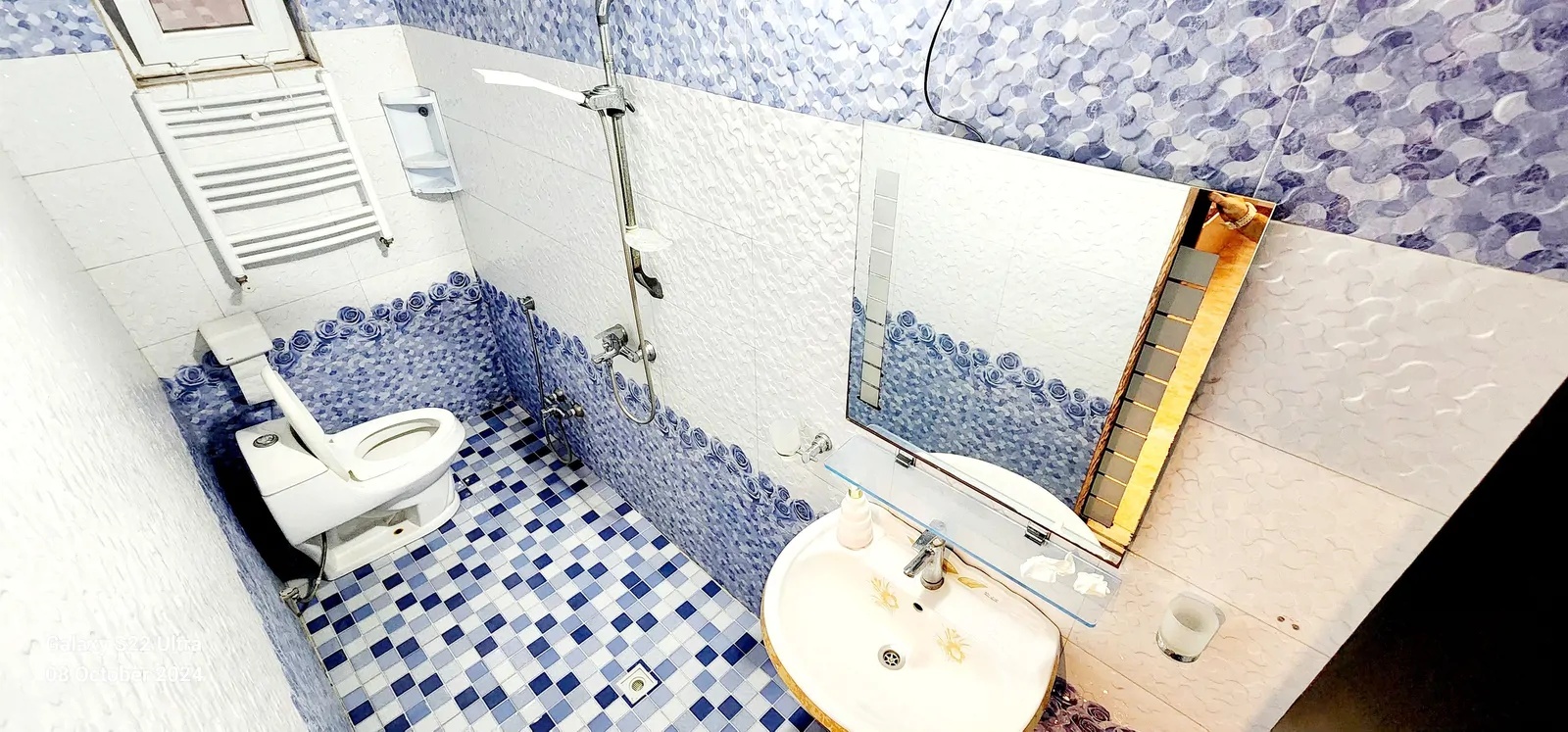 بید مجنون