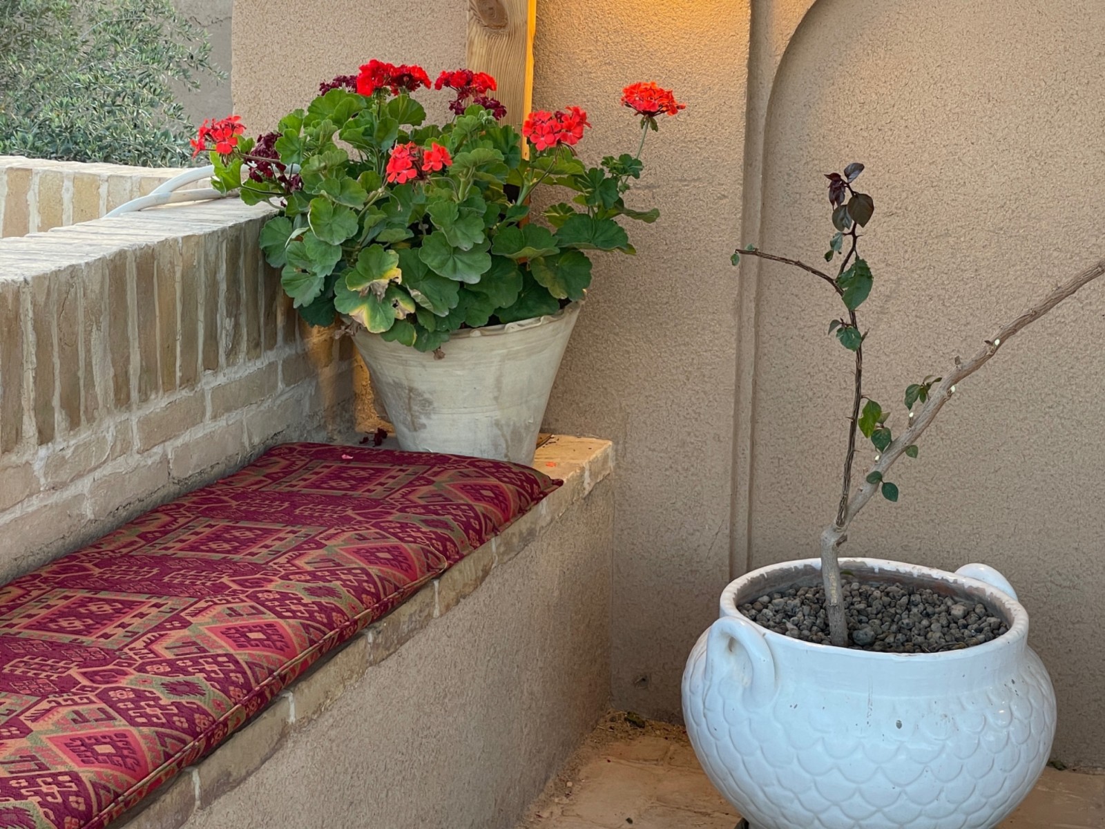 اجاره بوم گردی یارا - واحد شبستان یزد